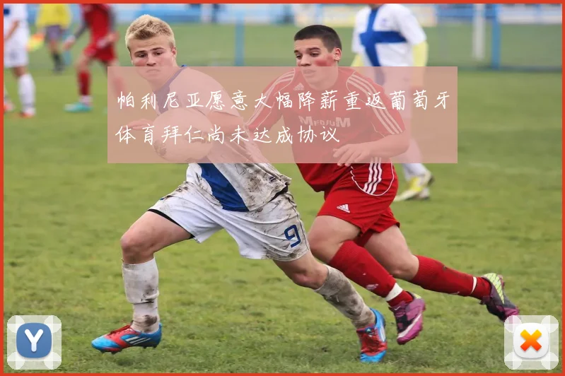 帕利尼亚愿意大幅降薪重返葡萄牙体育拜仁尚未达成协议