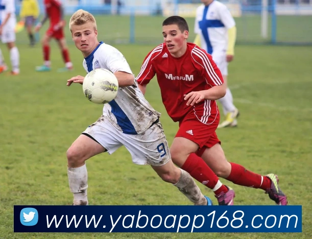 雅博app品牌故事