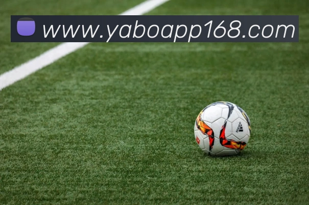 雅博app服务体系